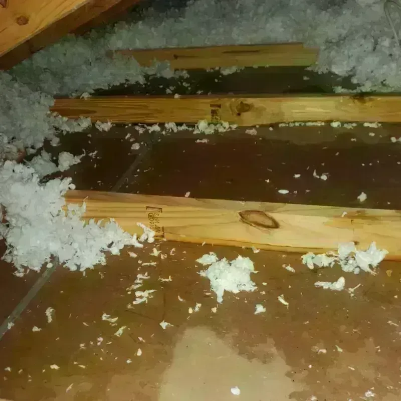 Attic Water Damage in Meade, KS